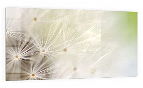 DEQORI Küchenrückwand Glas | Motiv Pusteblume ganz nah | 100x50 cm | Bad- oder Herd-Rückwand | Herdblende Spritzschutz für Küche & Badezimmer | moderne Deko für Fliesenspiegel