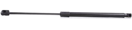 RIDEX 219G0096 Heckklappendämpfer hinten 450N Hub: 189mm Kompatibel mit MERCEDES-BENZ C-Klasse T-modell S202 A2029800364 2029800364