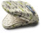 Zeal Mini Mitt/Pot Holder, Dog/Cream, Size S