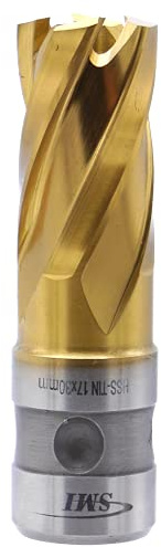 SMI HSS TiN Kernbohrer 17 mm Drm. Schnitttiefe 30 mm, Aufnahme FEIN Quick-In Schaft