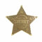 Sheriffstern Messing 1881 Pat Garrett New Mexico