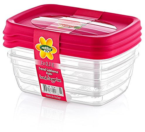 Hobby Life 0.3 Litre 3-Piece Plastic Trend Rectangular Storage/Food Saver Box Set, Transparent