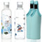 TDN Bouteille d'eau en verre borosilicate, Lot de 2 500 ml, Réutilisable, Émail sérigraphié, Sans BPA, Étanche, Compatible Lave-Vaisselle, Pour gym, Bureau, Boissons chaudes et froides (Lapin)