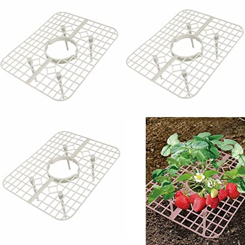 NLDGR Paquete de 10 soportes de fresa, soporte para plantas de fresa, marco de cultivo de fresas, bandeja de soporte para plantas de enrejado de fresa para plantar en jardín