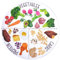 Viynran Placa de control de porciones de 10 pulgadas para una alimentación equilibrada, placa de nutrición saludable para adultos y adolescentes, separadores de melamina, pérdida de peso, placa para