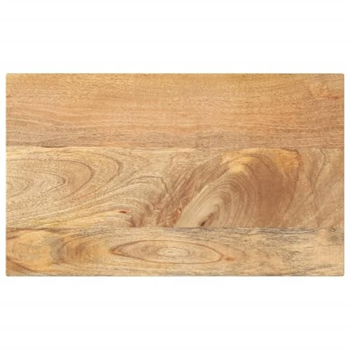 vidaXL Tischplatte 60x20x3,8 cm Rechteckig Massivholz Mango