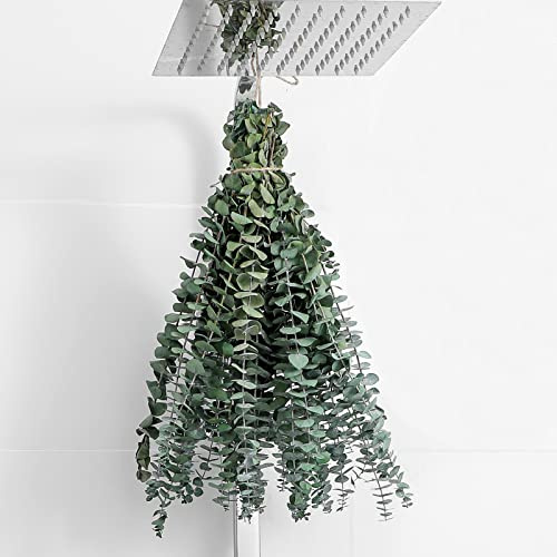 FAVOWREATH Eukalyptus zum Aufhängen in der Dusche, 43,2 cm, echte Eukalyptus-Stiele, 100 % aus frischen Blättern, verwendet für Hochzeitsdekoration, Heimdekoration, Bauernhaus-Dekor, getrocknete