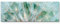Paul Sinus Art Leinwandbilder | Bilder Leinwand 120x40cm Pusteblume – Nahaufnahme