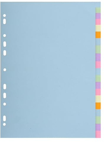 Exacompta - Ref. 2620E – Karton mit 20 Registern aus Pastellkarton 170 g/m² Forever mit 20 neutralen Registern – Format zum Einheften A4 – Maße 22,5 x 29,7 cm – Pastellfarben sortiert