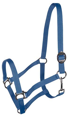York Nylonhalfter Halfter Genickstück Verstellbar durch Schiebeschnalle Harmony Pferdehalfter (Pony, blau)