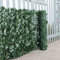 Abaseen Ivy Leaves Trellis with Artificial Leaves Hedge Roll, Artificial Ivy Trellis Screening Roll UV Protection Wall Decor for Indoor Outdoor… (1m x 3m, Ivy Hedge Screening)