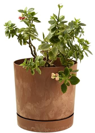 B2C Plant Pots Indoor Outdoor Plastic Marble Concrete Flowerpot Small Medium Large Tubo 5 Colours (11 cm, Terracotta)