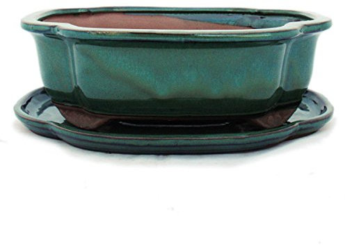 exotenherz - Bonsai-Schale mit Unterteller Gr. 4 - Grün - haitang/oval - Modell I4 - L 26cm - B 20,5cm - H 8,5cm