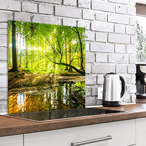 murando Glass Splashback for Kitchen Backsplash Cooker Protector Tempered Glass Decorative Wall Art Panel Heat Resistant Graphic 80x80 cm / 32x32 Landscape Nature Forest c-B-0505-aq-a