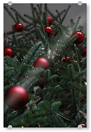 artboxONE Acrylglasbild 150x100 cm Natur Weihnachten rot grün - Bild Weihnachtsbaum Bokeh christbaumkugel