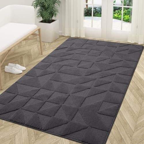 Homaxy Door Mats Indoor, 90 X 150 cm, Machine Washable Inside Door Mat, Dirt Trapper Soft Doormats, Super Absorbent Entrance Rug, Non-slip Floor Mat For Front Back Door, Pets and Dogs (Dark Grey)