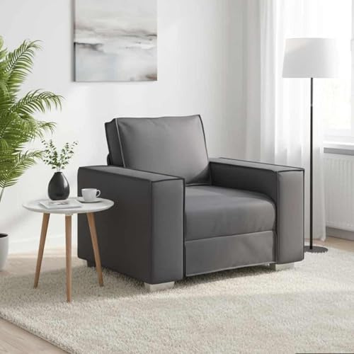 HFXHIJXQ Modernes 1-Sitzer Sofa Stoff Grau 99x78x84 cm, Sitzbank mit breiter Rückenlehne und atmungsaktivem Bezug, Robustes Metall-Sperrholzrahmen für Wohnzimmer Home-Office Chill-Ecke