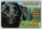 Petsigns Hundeschild schwarzer Labrador - Warnschild aus Stabiler Metallplatte, DIN A3