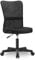 Life Carver Mesh Middle Back Executive Adjustable Swivel Office Chair Lumbar Support Computer Desk Chair (Black)
