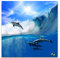 Paul Sinus Art Leinwandbilder | Bilder Leinwand 90x90cm spielende Delfine im Meer
