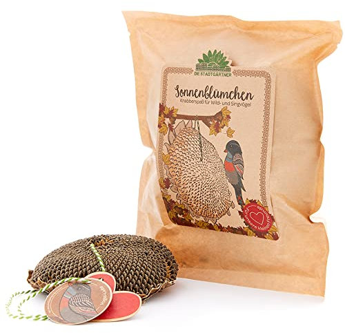 Die Stadtgärtner Sonnenblümchen I Schönes Vogelfutter zum Verschenken I Getrocknetes Sonnenblumenköpfchen zum Aufhängen I Vögel füttern & beobachten I Liebevoll verpackt in Handarbeit in Deutschland