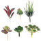 Zerodeko 6 Pezzi Piante Grasse Simulate Mini Succulente Finte Piccole Succulente Finte Piante Grasse Artificiali Senza Vaso Piante Succulente Finte Contenitori Pvc All'aperto Ramo
