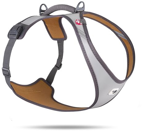 Glow Belka Harness Gray XL