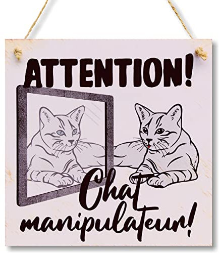 CARISPIBET Attention! Chat manipulateur! décoration drôles pour chez vous plaques décoratives idéal pour les propriétaires des chats 20 x 20 cm
