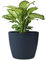 KONZEPT Blumentopf 5,2 l, gerillte Struktur 22 cm, Übertöpfe für Zimmerpflanzen aus Kunststoff ideal für Wohnzimmer, Küche und Balkon
