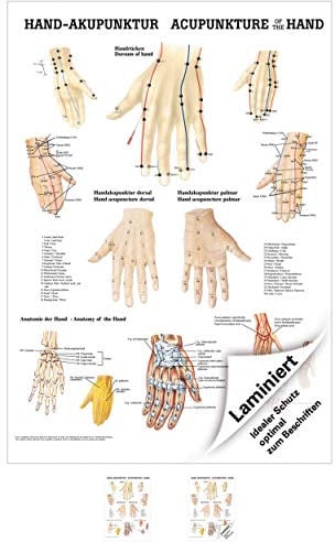 Rüdiger Hand-Akupunktur Poster Anatomie 70x50 cm medizinische Lehrmittel