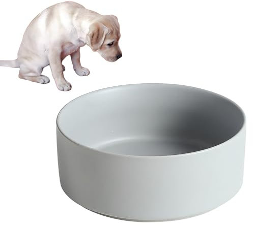 Ceramic Dog Bowl, Large Capacity Dog Bowl (850ml), Dog Food Bowl, Feeding Bowl, Wide and Shallow Drinking Bowl, Healthy and Safe Lead and Cadmium Free, Can be Used in Oven and Microwave Oven