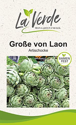 Große von Laon Artischockensamen