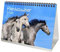 Pferdezauber DIN A5 Tischkalender für 2024 Pferde und Fohlen - Geschenkset Inhalt: 1x Kalender, 1x Weihnachts- und 1x Grußkarte (insgesamt 3 Teile)