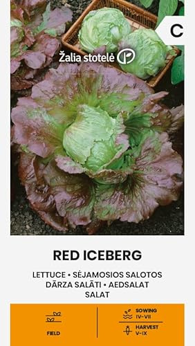 Zalia stotele | Salade - Graines RED ICEBERG | Graines de légumes | Graines de salade | Graines de jardin | Variété de laitue de type 'Iceberg' à maturité moyenne et à haut rendement | 1 Paquet