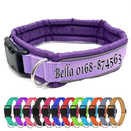 Hundehalsband personalisierbar - kleine und große Hunde (Medium) - individuell zusammenstellen - Halsband Bestickt Name + Telefonnummer - Hundehalsband breit & verstellbar (Lila)