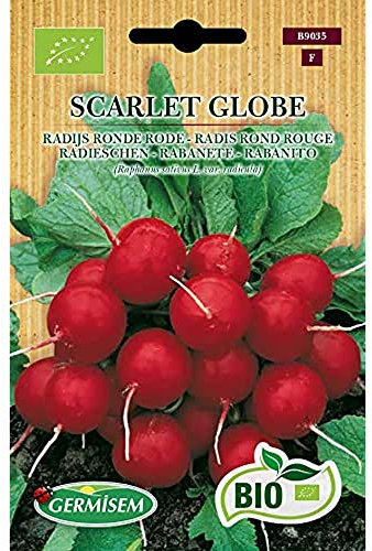 Germisem Orgánica Scarlet Globe Semillas de Rábano 5 g