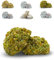 BRICIOLIAMO... Paste di Mandorla Artigianali Fresche - MANDORLA 40% - 6 GUSTI DISPONIBILI/BOX MISTO - Dolci Tipici Siciliani, Prodotte in Sicilia. (Pistacchio, BOX | 1 kg)