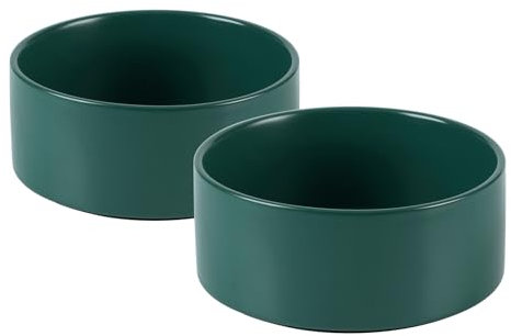 Havniva Lot de 2 gamelles en céramique pour chien et chat, bols de nourriture et d'eau pour chiot, chaton, chat, mangeoires pour chat, 13 cm, vert