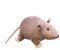 Lunaobrik Jouet en Peluche Souris, Jouet Souris Farce, Jouet en Peluche de Souris Douces en Peluche réaliste, Jouet de Farce pour Chat, Fausses Petites Fournitures de fête pour et Poisson d'avril