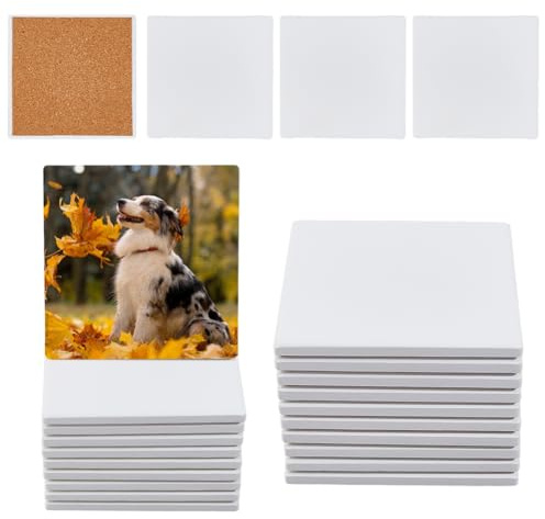 DICOSMETIC 16Pcs Ceramic Tiles for Crafts 10cm Square Blank Ceramic Coasters with Cork Backing Pads Unglazed Blank Coasters for Acrylic Poring, DIY Make Own Coaster, Decoupage, White