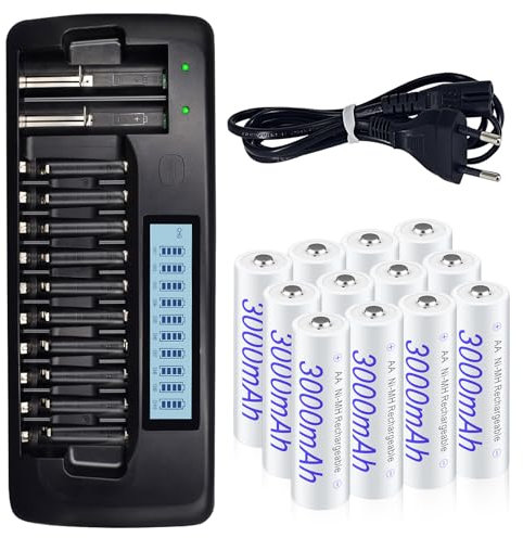 Palogreen Chargeur de Piles Rapide, 12 Slots Indépendan Rechargeable Chargeur LCD avec 12 pcs AA 3000mAh NIMH Rechargeable Piles Et Fonction de décharge