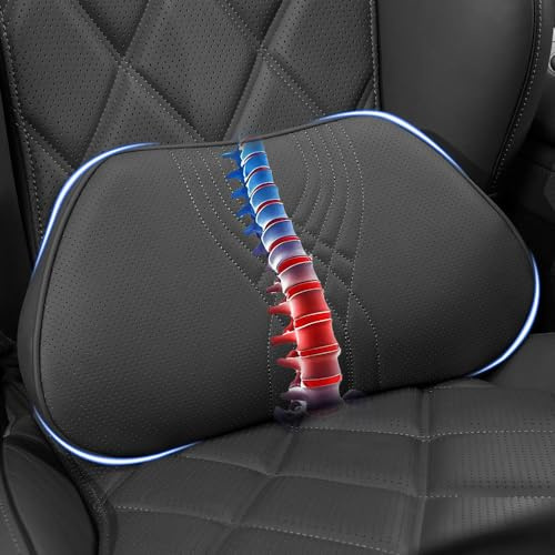 Dapucarin Cuscino Lombare Auto, Supporto Lombare Ergonomico in Memory Foam, Pelle Cuscino Schiena per Sedia Ufficio, Viaggio, Casa, Divano, Nero, 1PC