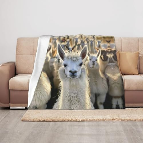 Kuschelige Decke mit niedlichem Lama-Druck, 127 x 101 cm, weich, warm und leicht, für Camping und Erwachsene
