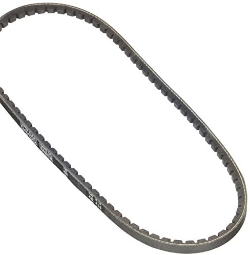 DAYCO 10A0813C Gürtel