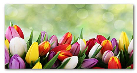 Tulup Glass Picture Wall Art - 100x50cm - Tempered Glass Decoration - Print for Living room Bedroom - Toughened Glass Image - Glass picture Wall Art - Colorful tulips