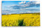 Paul Sinus Wandbild 120x80cm Rapsfeld Raps Landschaft Gelb Himmel Sommer