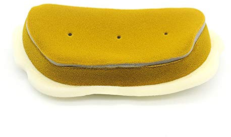 Flisdtry Filtro 'Aria per Moto YZF R6 YZFR6 YZF-R6 1999 2000 2001 2002 2003 2004 2005 Filtro 'Aria