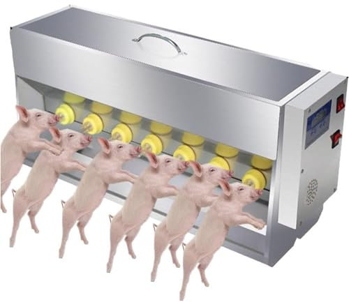 Little Pig Biberones Para Lactancia, Leche Para Lechones, Tetinas 10/14, EstacióN De Lactancia Para Lechones, Alimentador De Leche Para Lechones, Acero Inoxidable, Para LechóN, Corderito,14Nipples