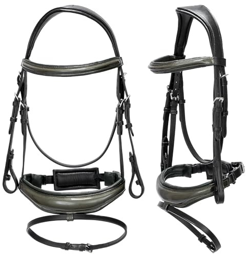 EQUESTRIAN QUEEN Trensenzaum aus Rindsleder – anatomisch gepolstert, kombinierter Nasenriemen – in Pony/Cob/Full, silberfarbene Beschläge - Ganymede (Schwarz, Full (Warmblut))