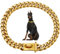 Hundekettenkragen 19mm Dicke Gold Metallhundkragen Edelstahlhundkette mit Schnalle Hunde Halskette Halsband Haustierkragen für kleine mittlere große Hunde, Metallhundkragen, Hundekettenkragen